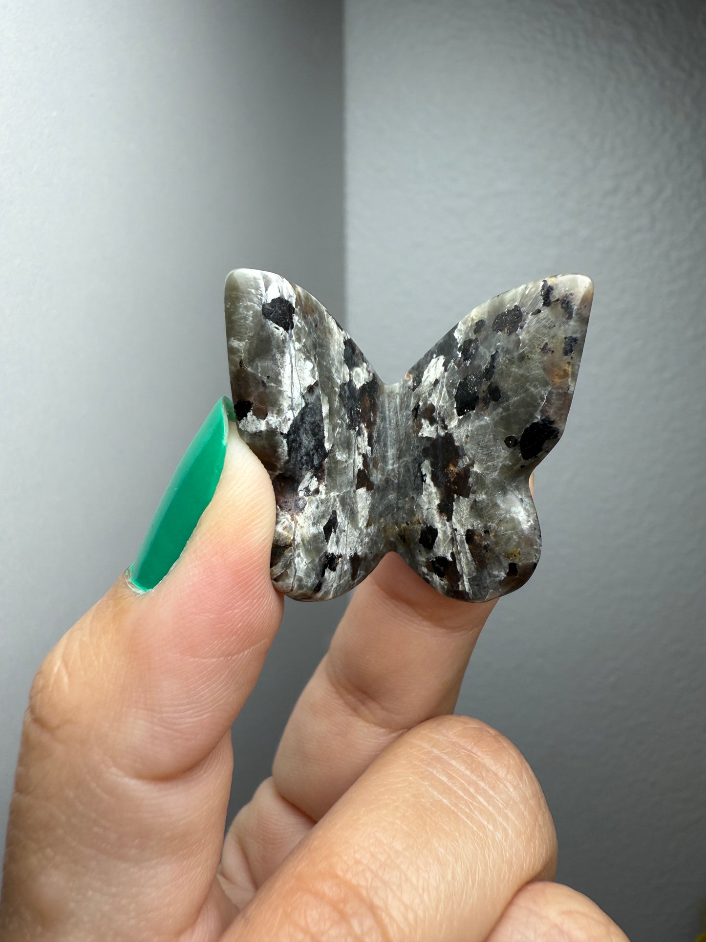 Yooperlite 3D Butterfly
