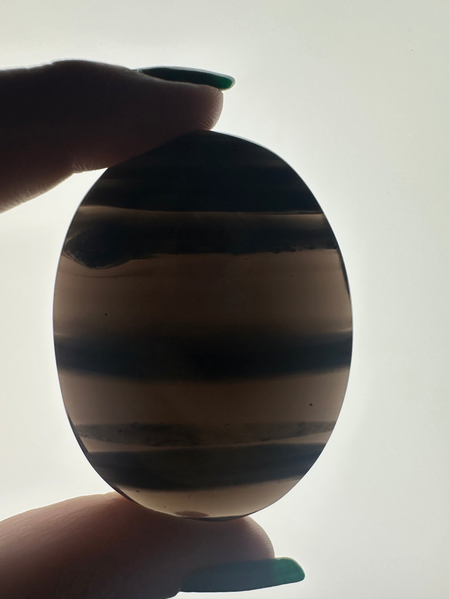 Midnight Lace Obsidian Palm