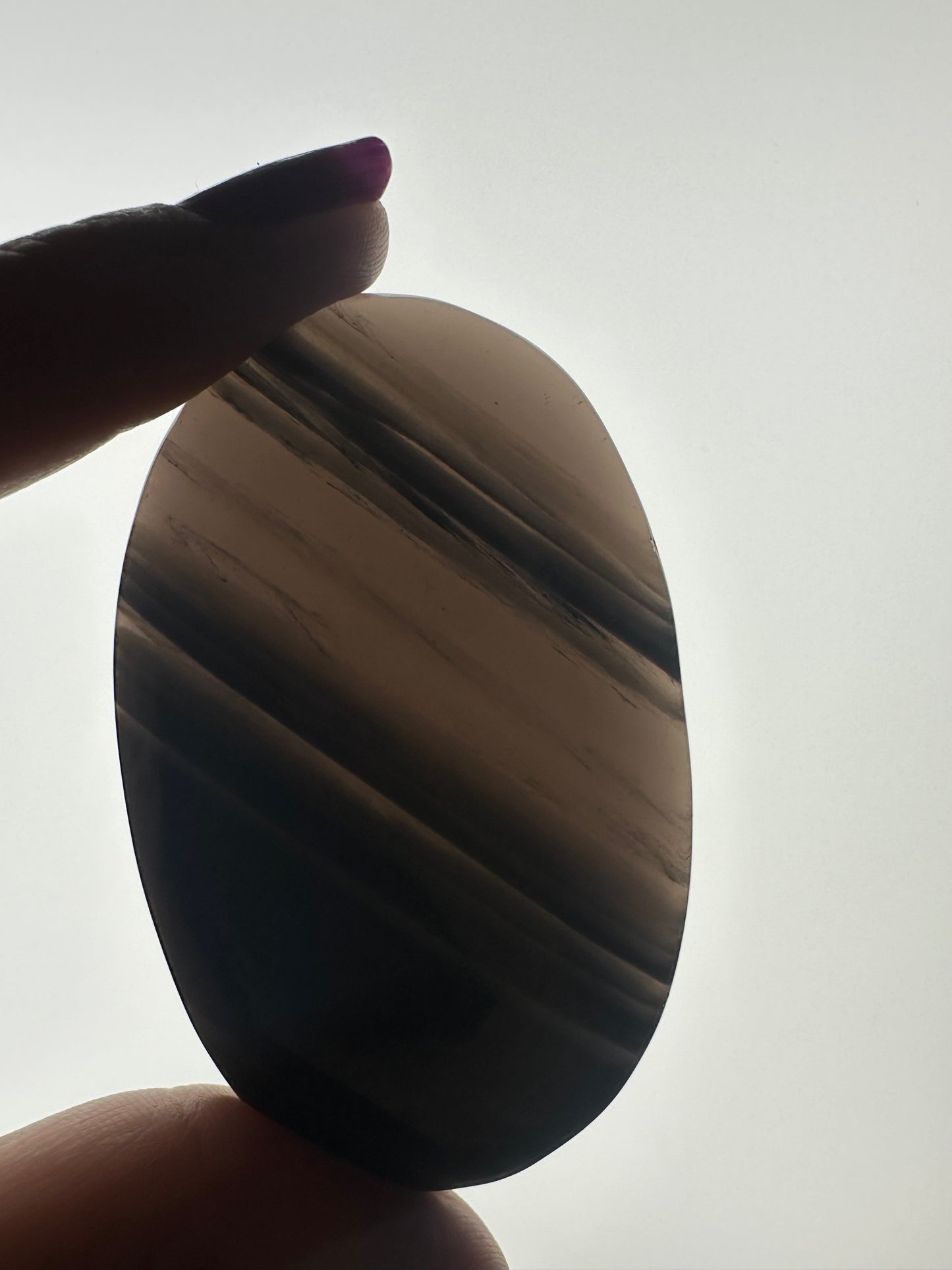 Midnight Lace Obsidian Palm