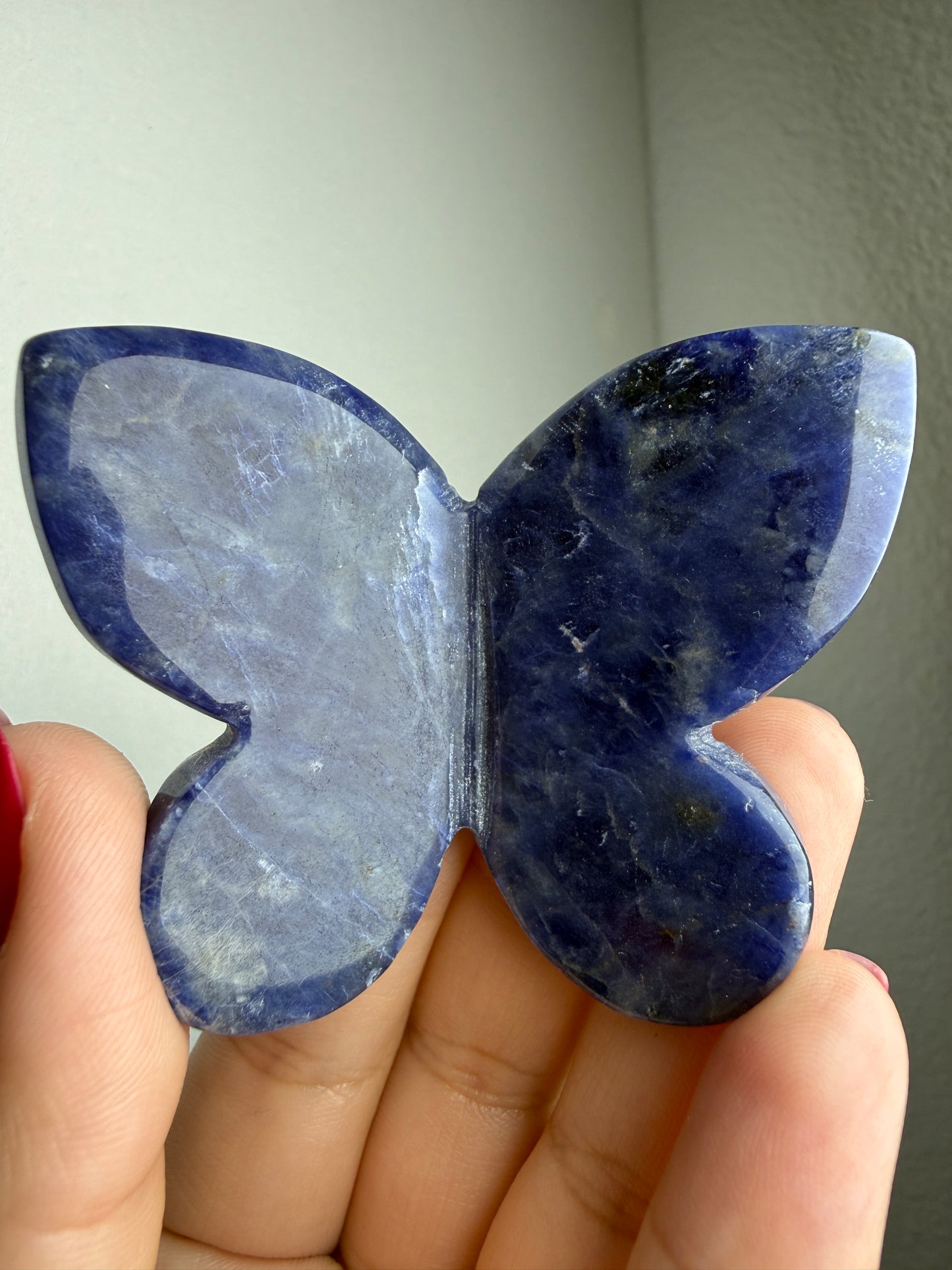 Sodalite 3D Butterfly