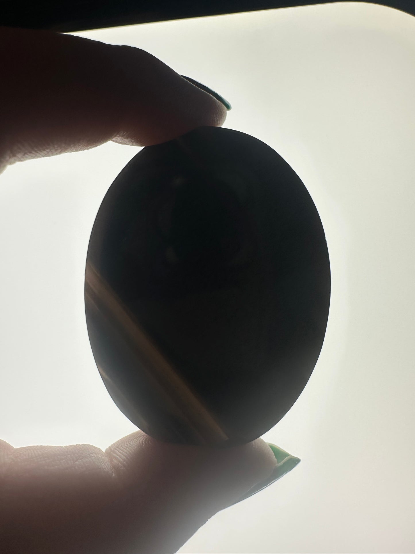 Midnight Lace Obsidian Palm