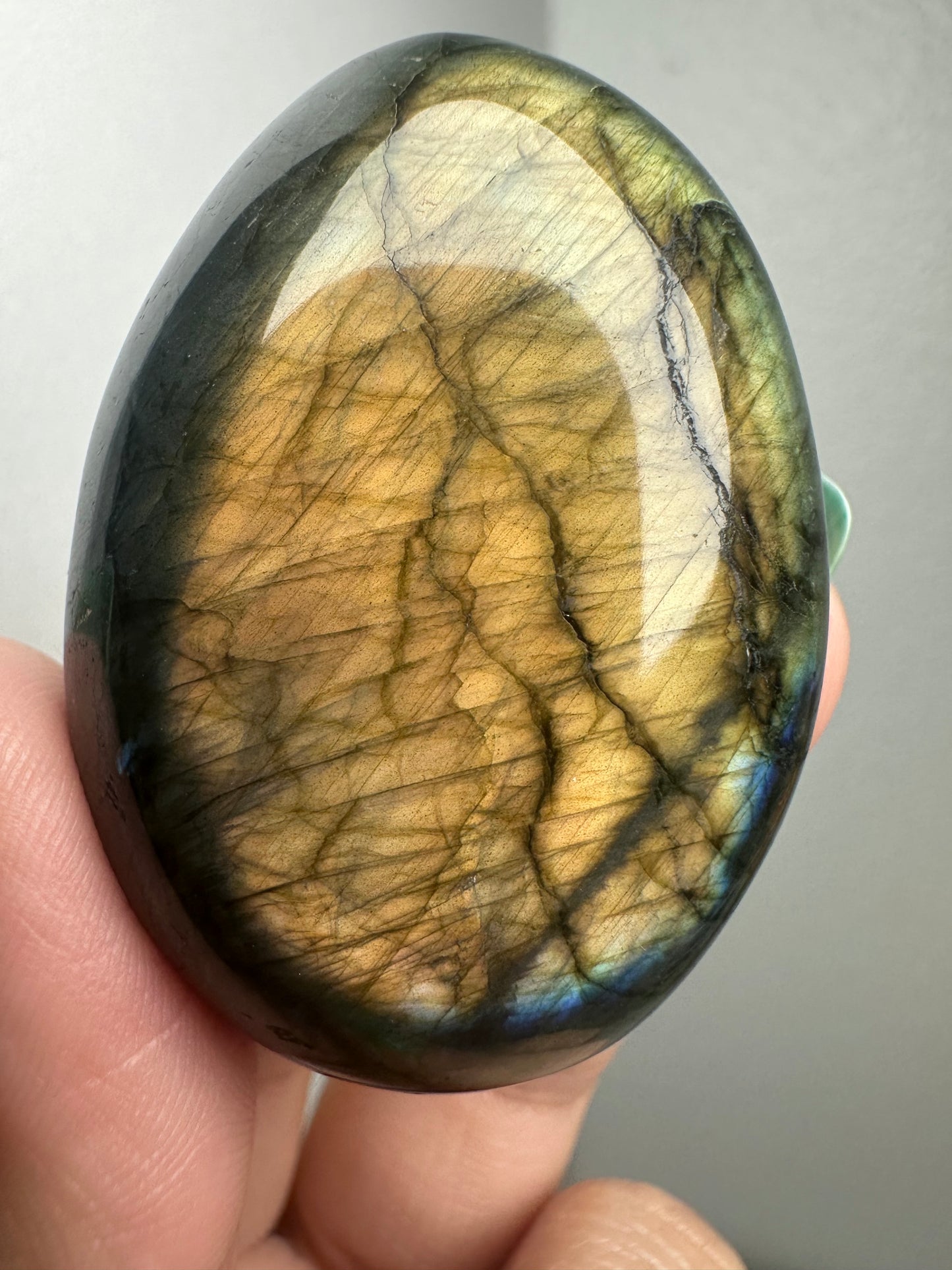 Labradorite Palm