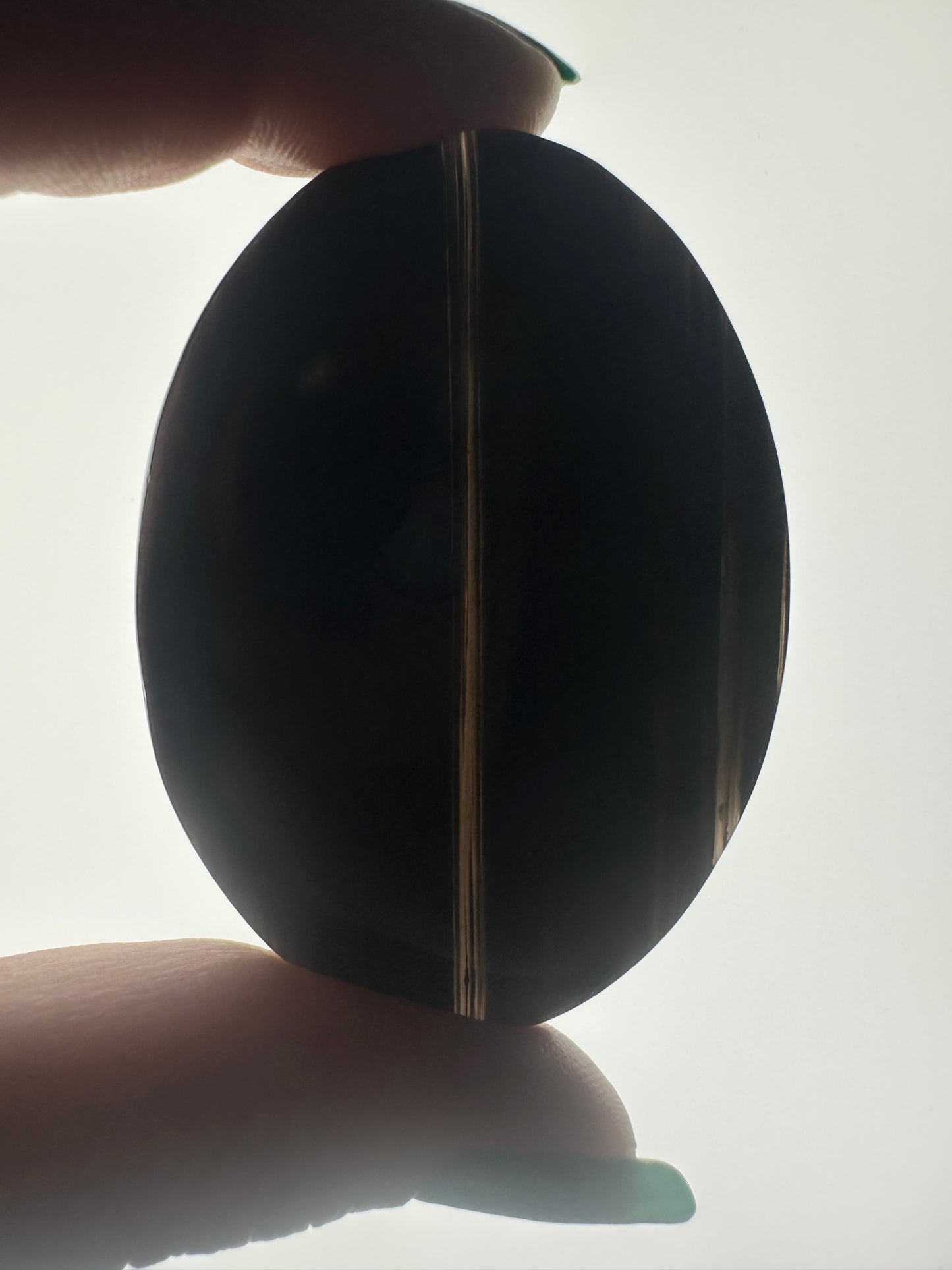 Midnight Lace Obsidian Palm