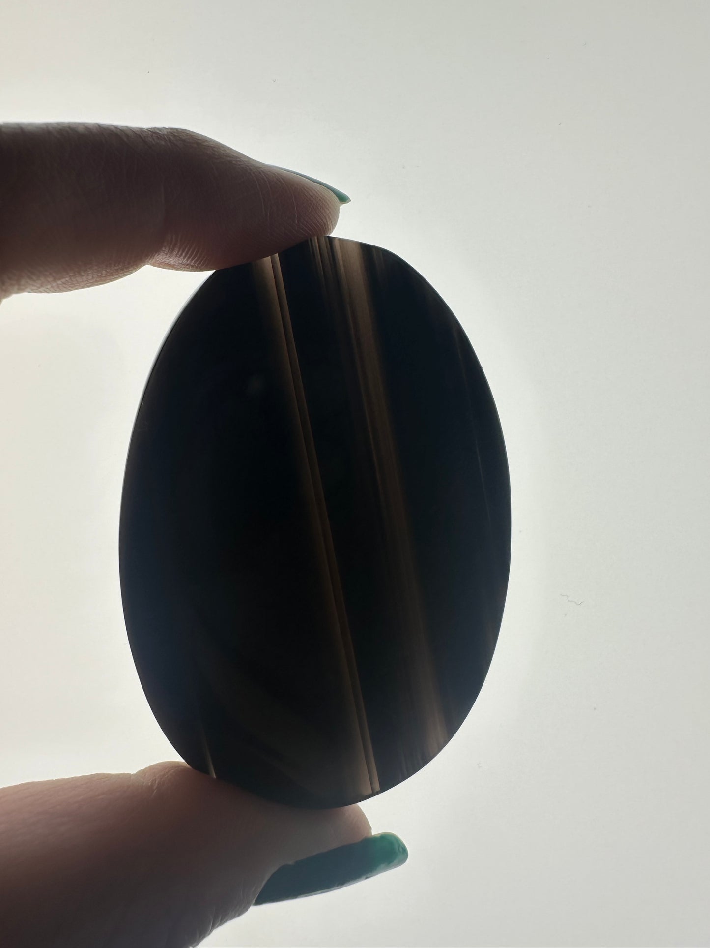 Midnight Lace Obsidian Palm