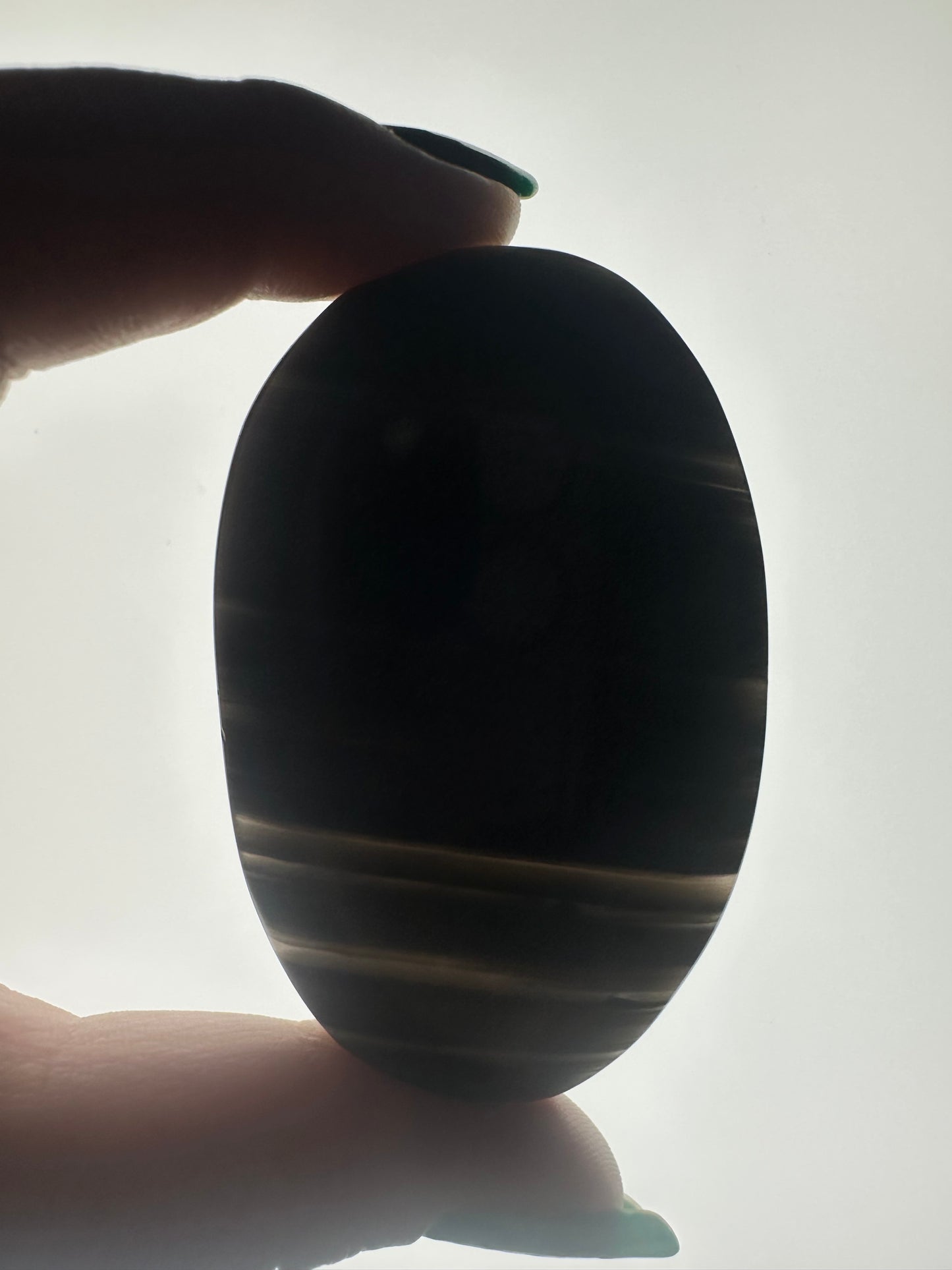 Midnight Lace Obsidian Palm