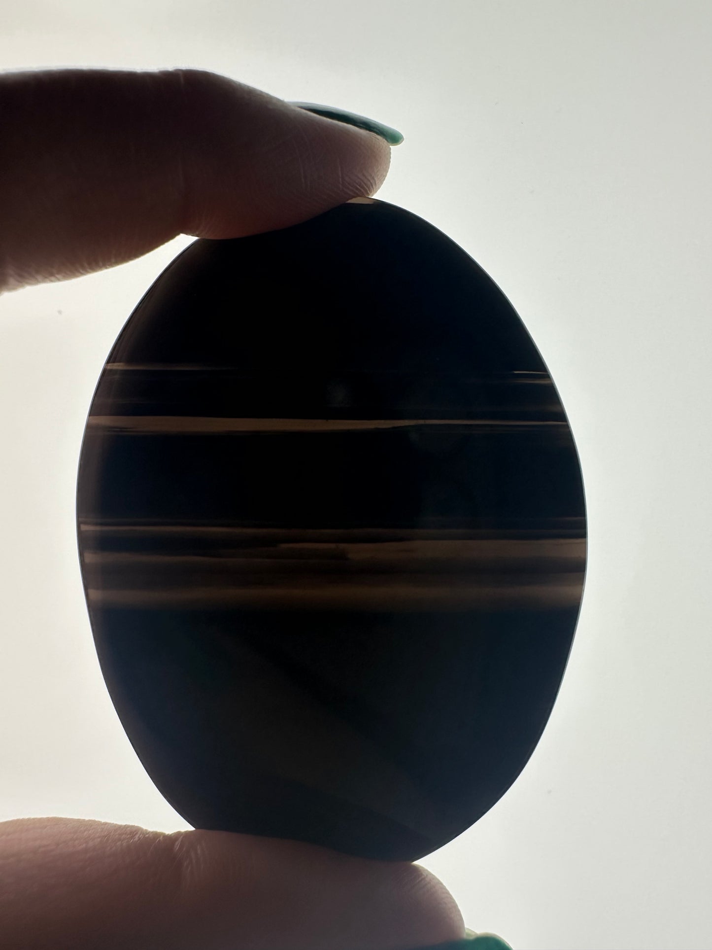 Midnight Lace Obsidian Palm