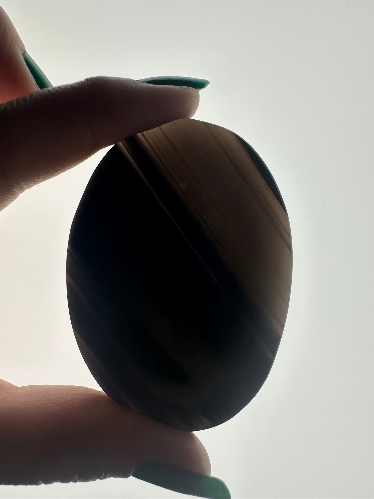 Midnight Lace Obsidian Palm