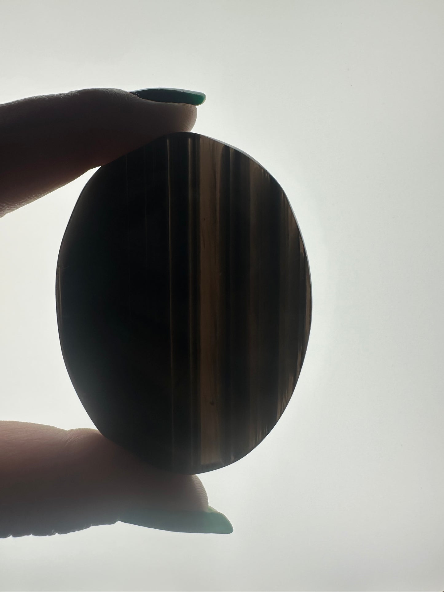 Midnight Lace Obsidian Palm