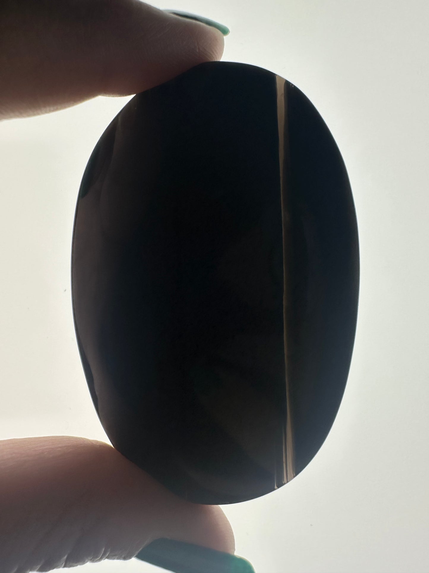 Midnight Lace Obsidian Palm