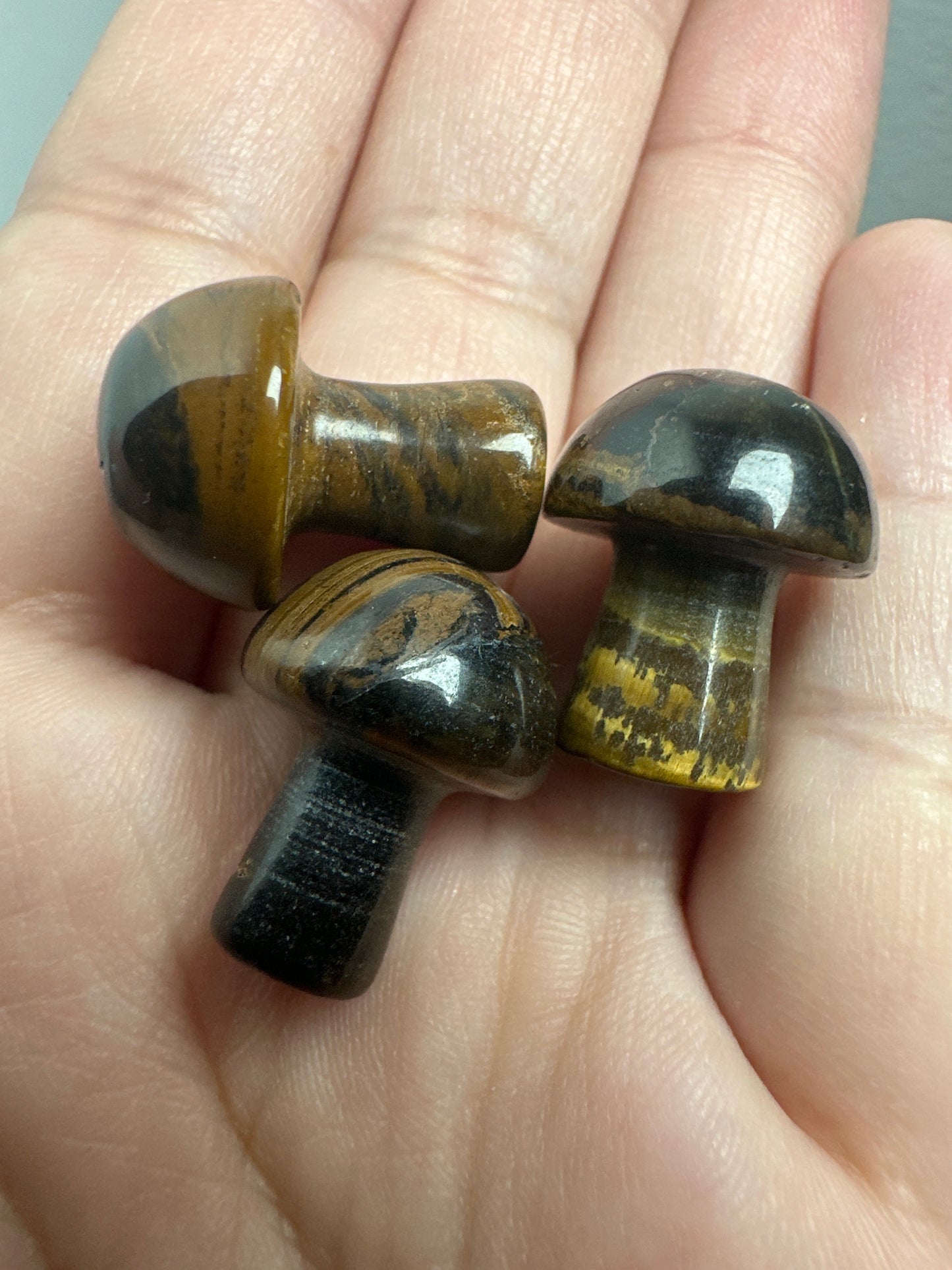 Tigers Eye Mushroom