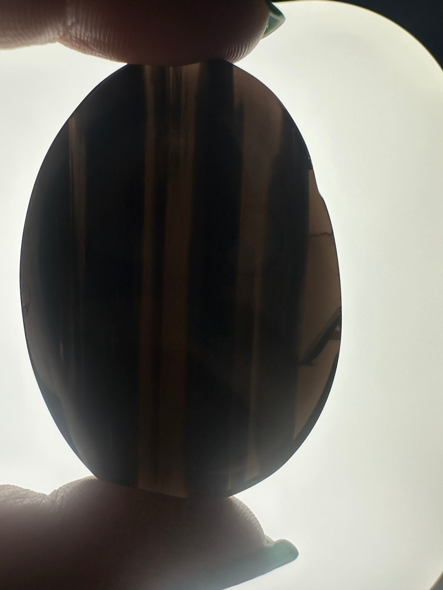 Midnight Lace Obsidian Palm
