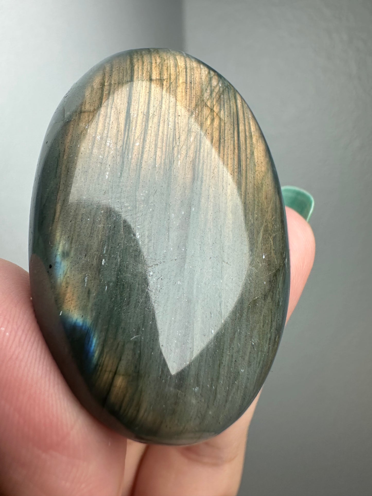 Labradorite Palm
