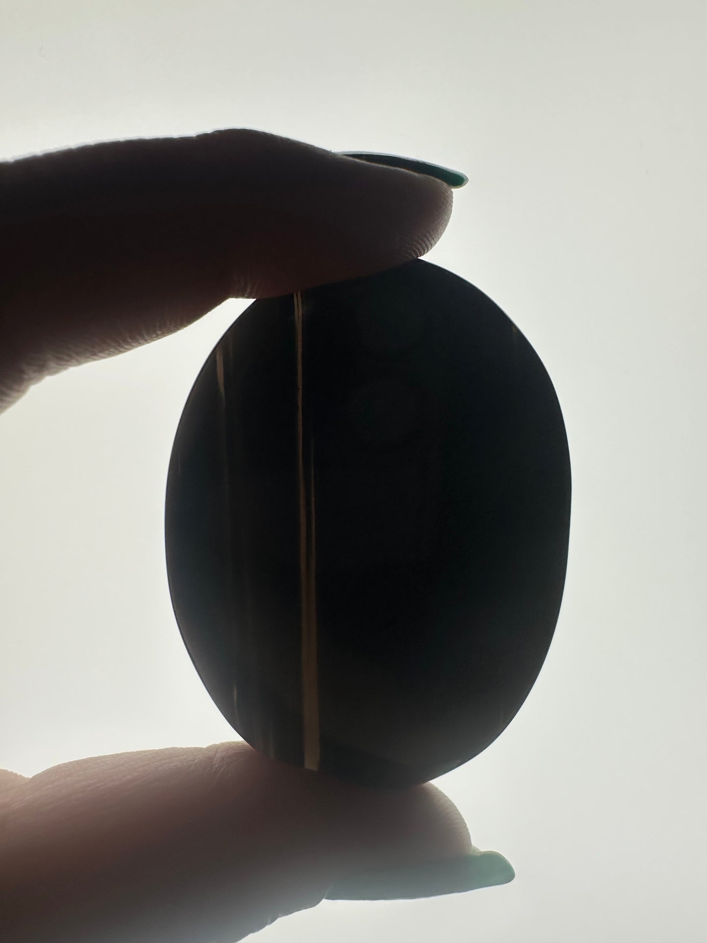 Midnight Lace Obsidian Palm