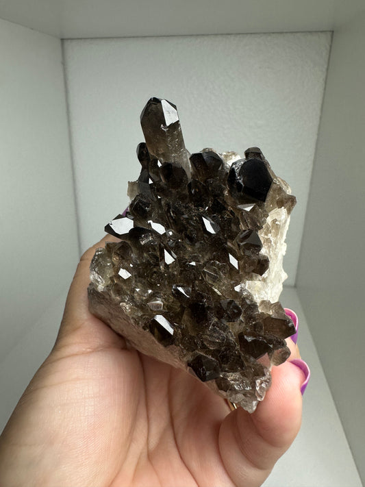 Smokey Quartz Cluster