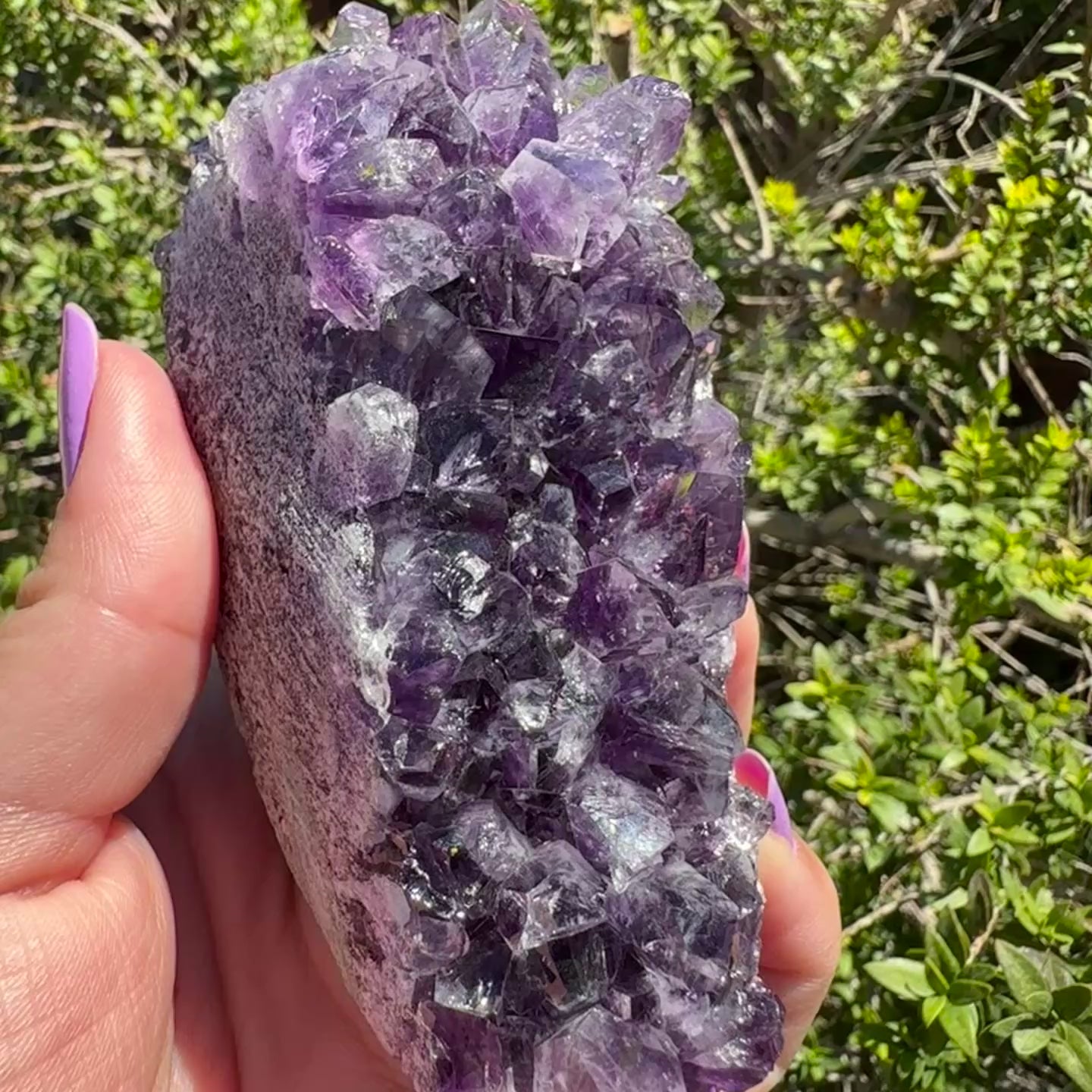 Amethyst Cluster