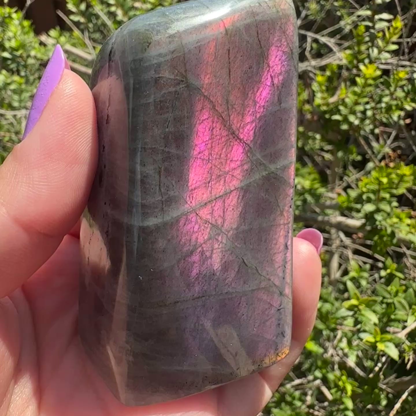 Labradorite Freeform