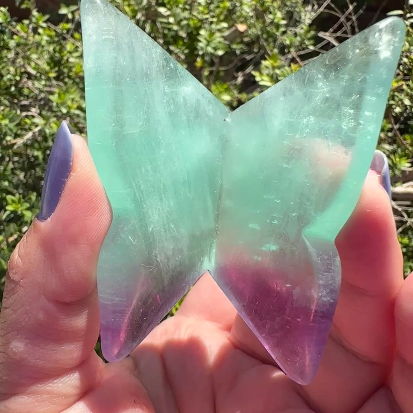 Fluorite Butterfly