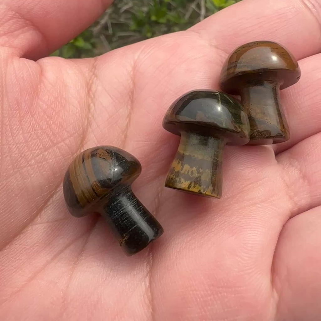 Tiger's Eye Mushroom