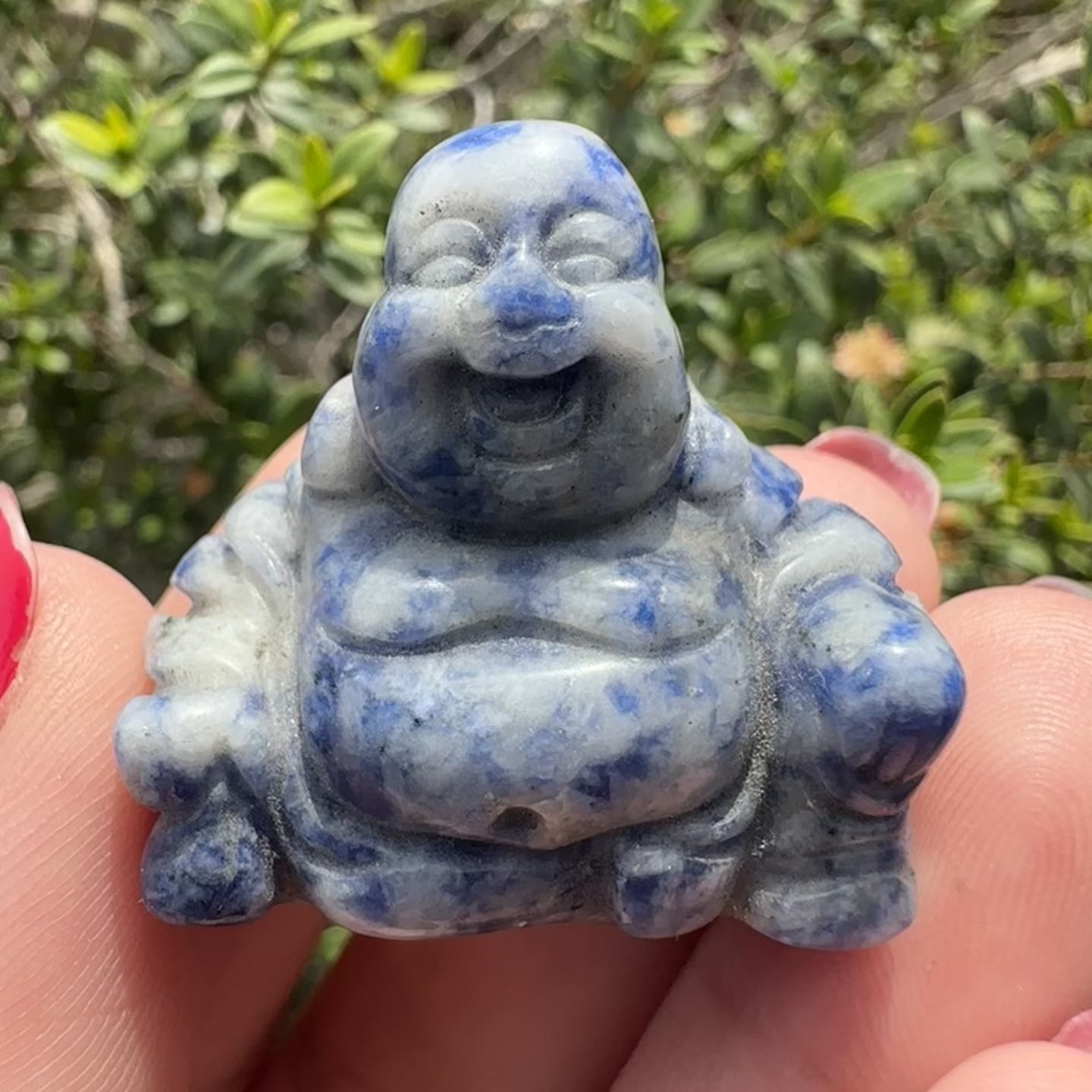Sodalite Buddha