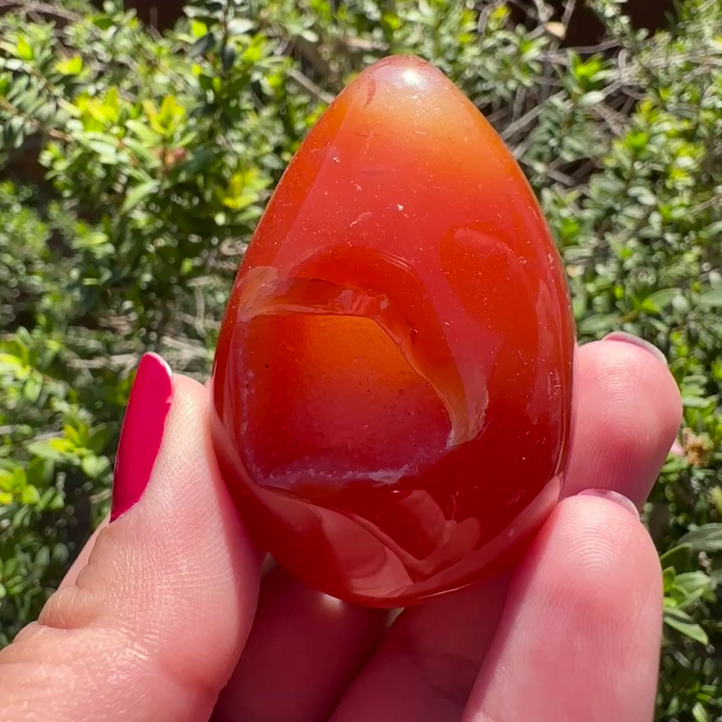 Carnelian Egg