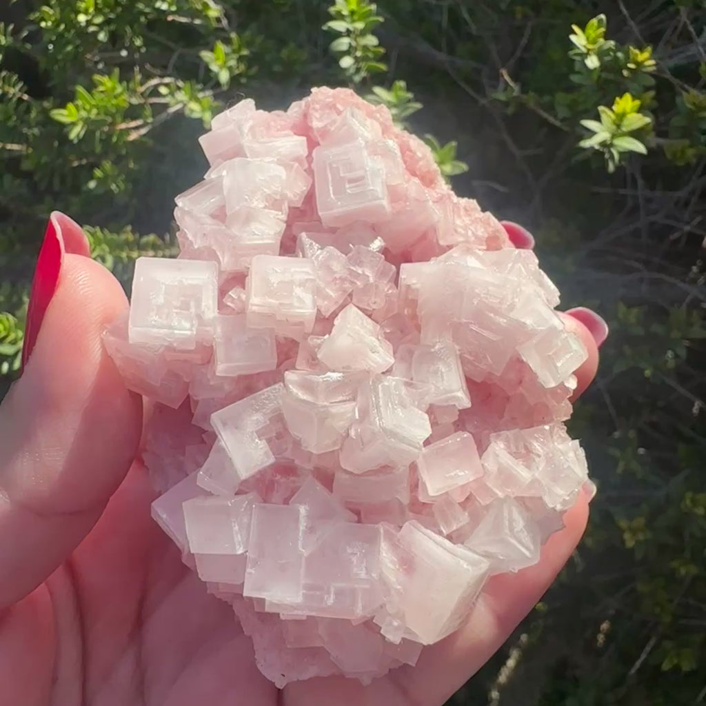 Halite