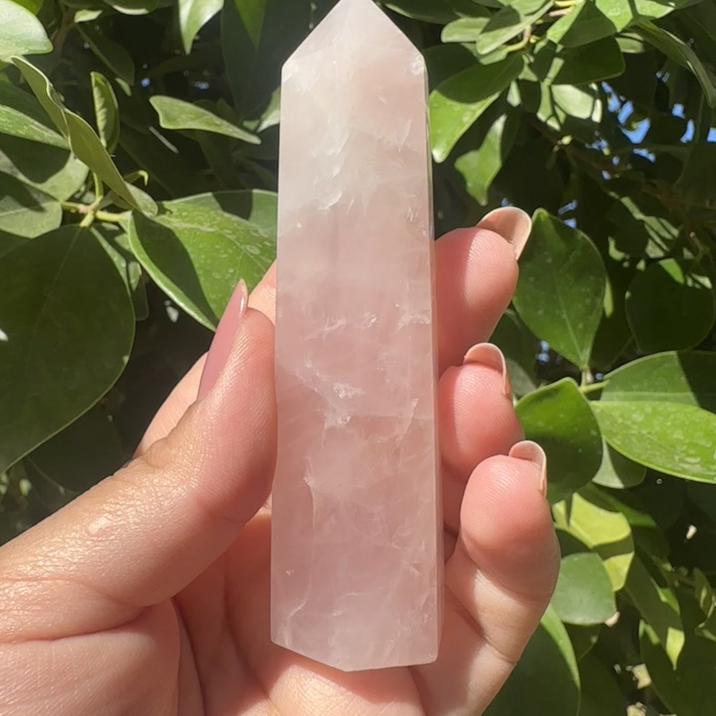 Rose Quartz Tower