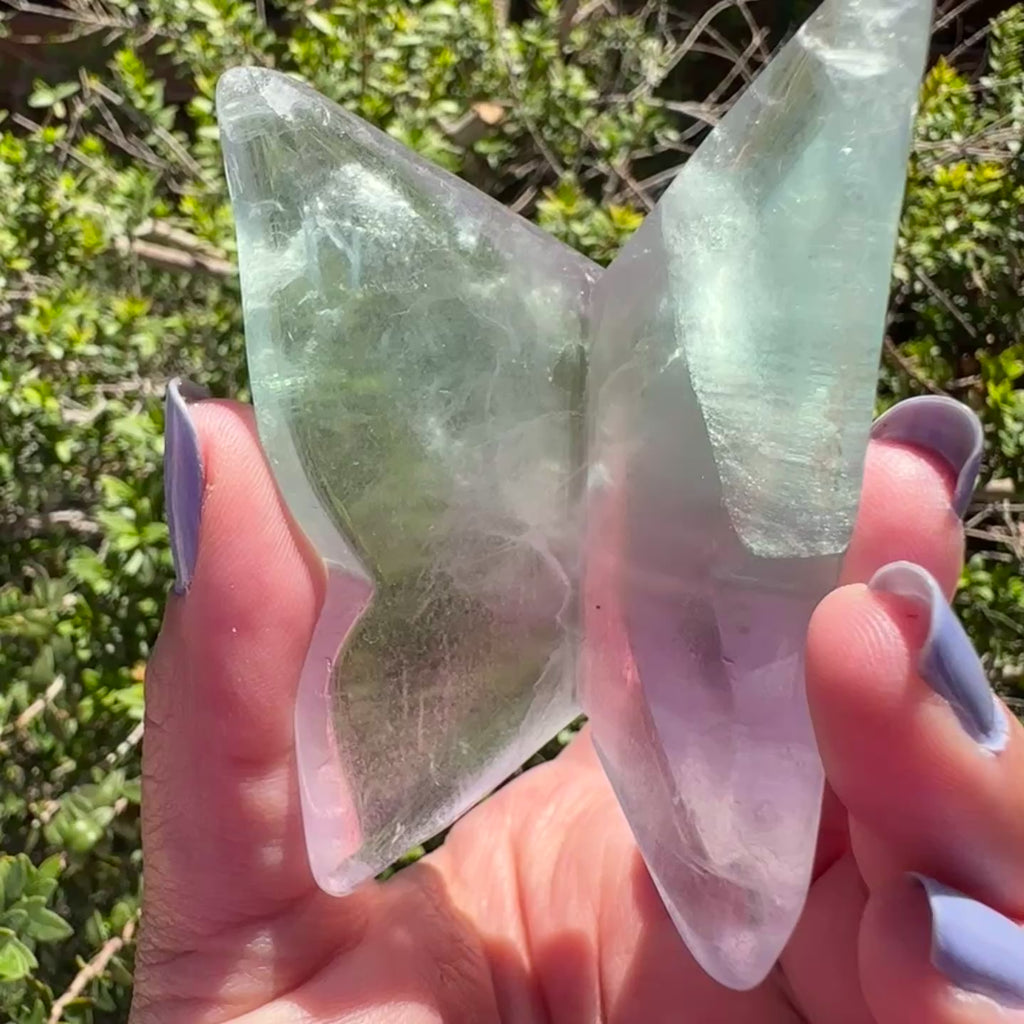 Fluorite Butterfly