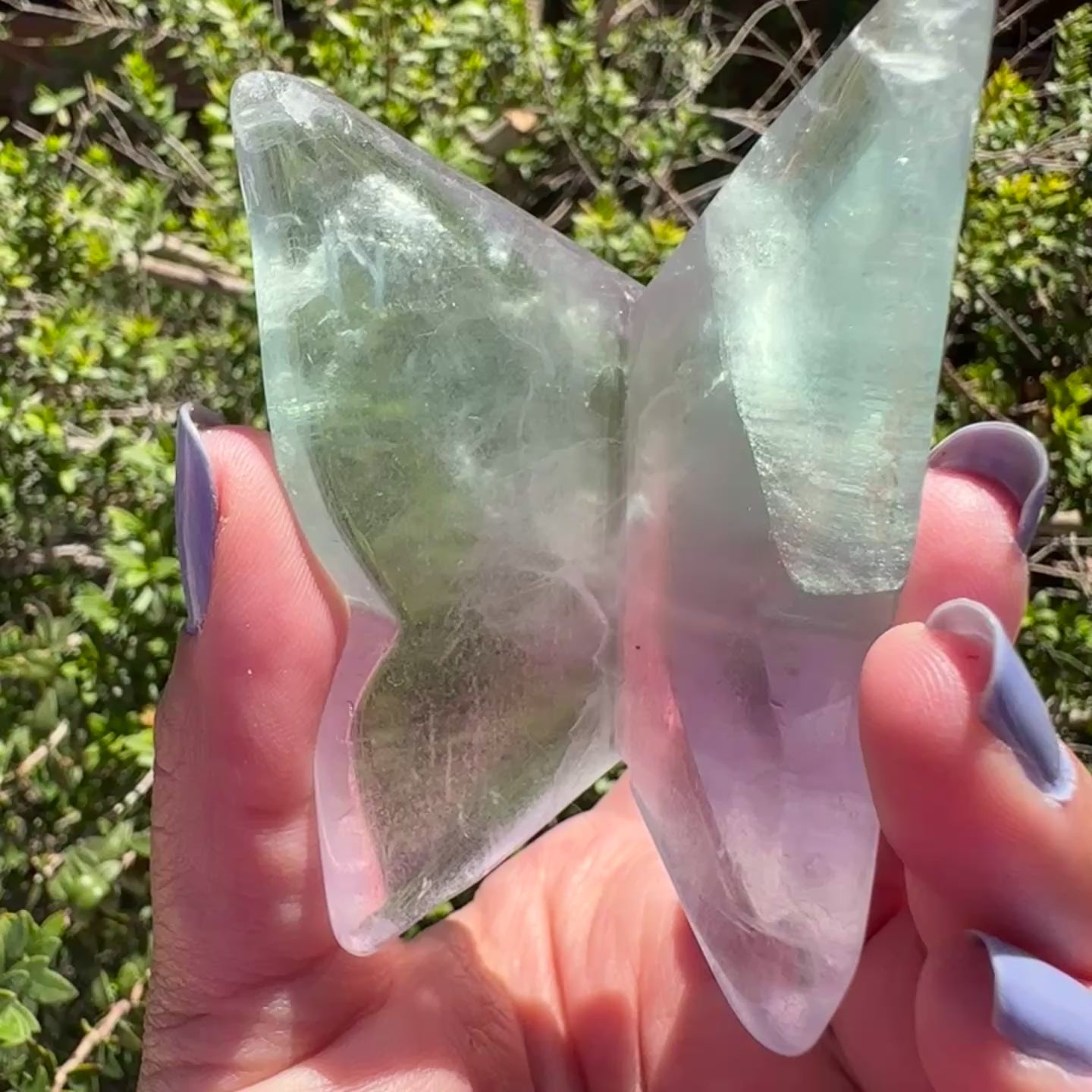 Fluorite Butterfly