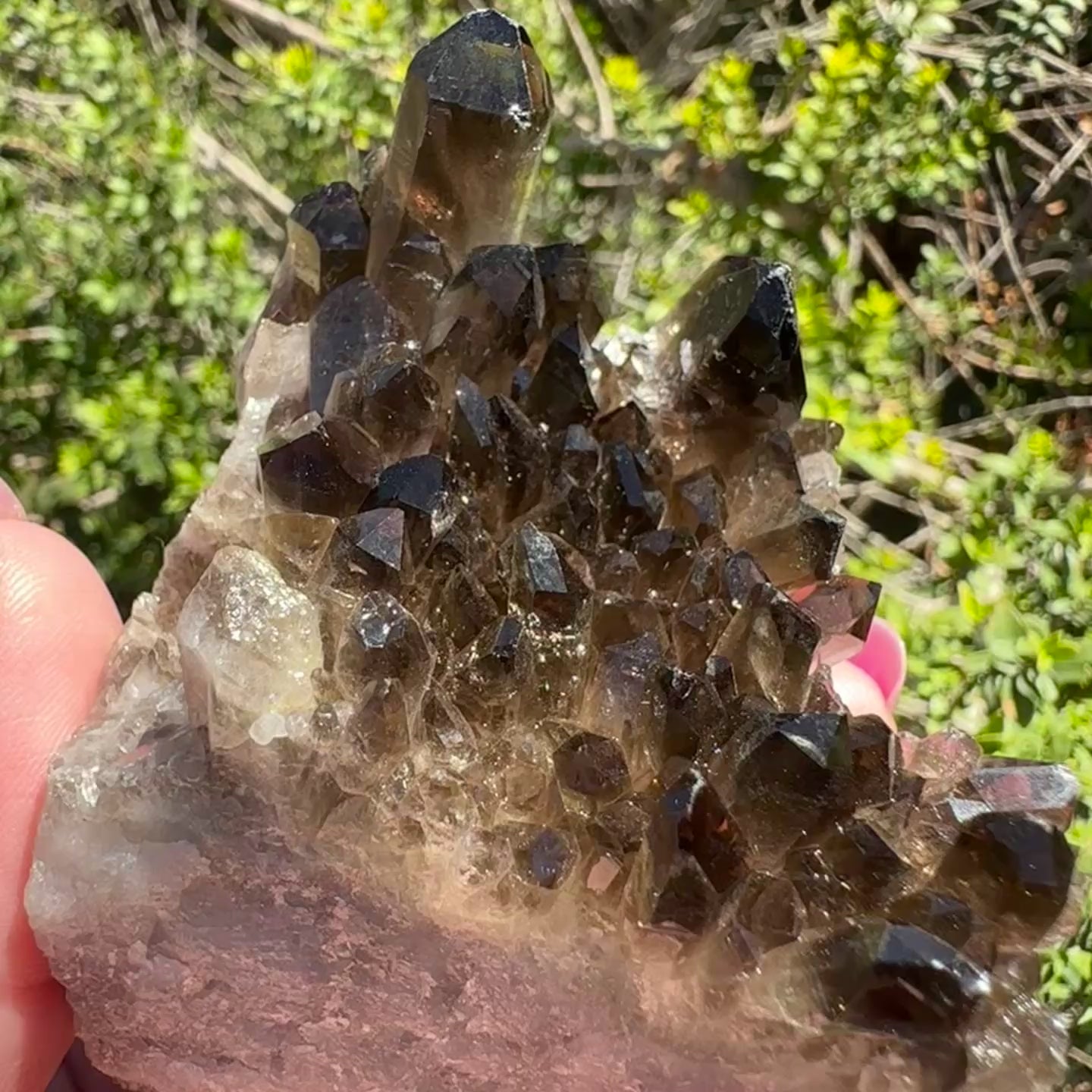 Smoky Quartz Cluster