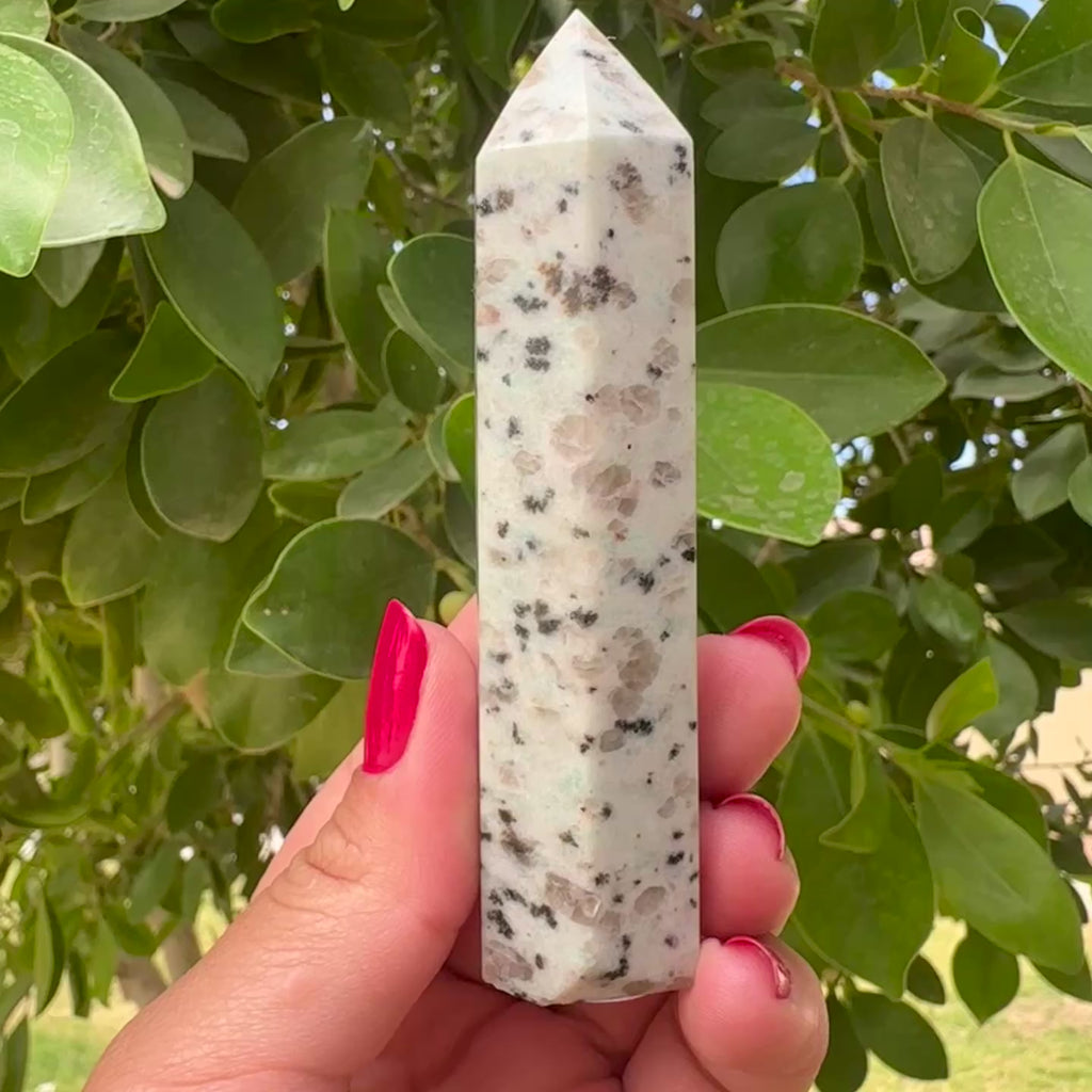 Kiwi Jasper Tower