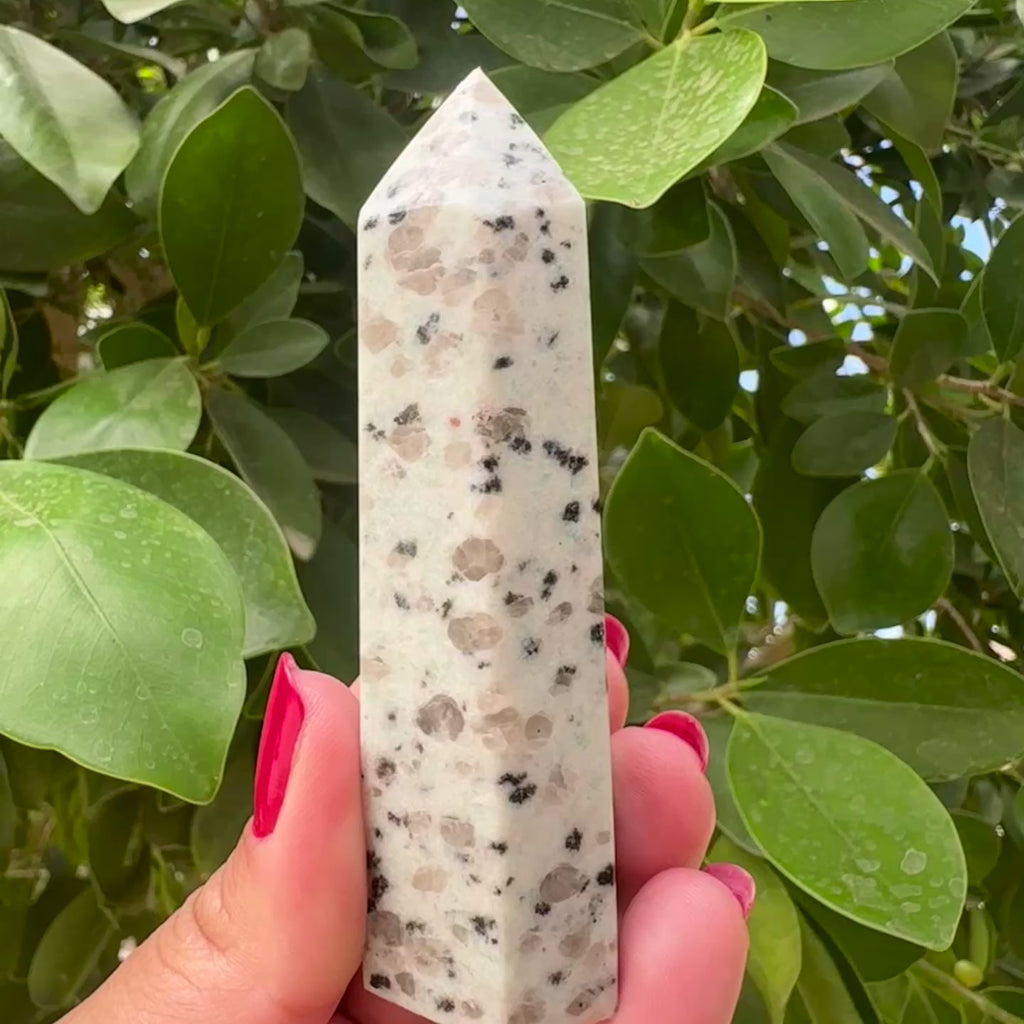 Kiwi Jasper Tower