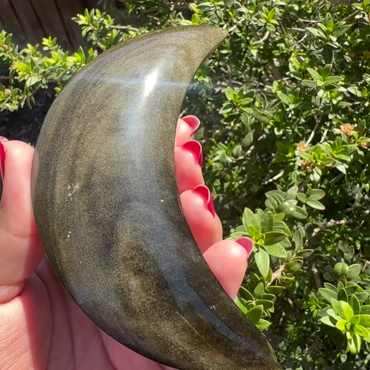 Gold Sheen Obsidian Moon