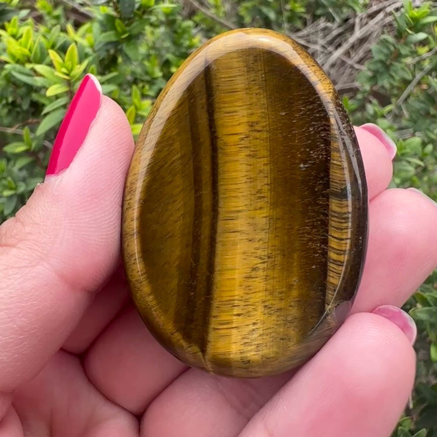 Tiger's Eye Worry Stone