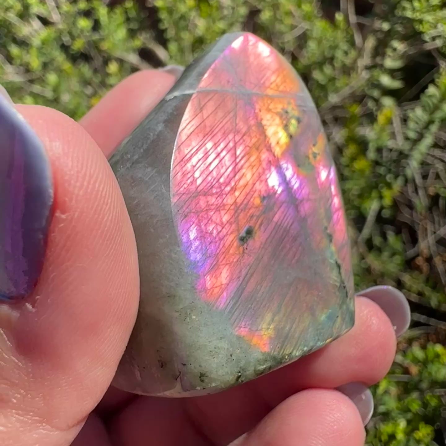 Labradorite Freeform