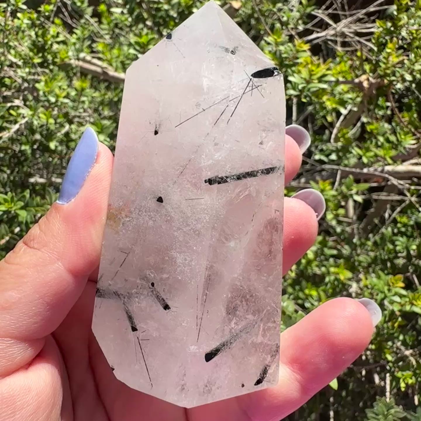 Black Tourmaline in Quartz Tower
