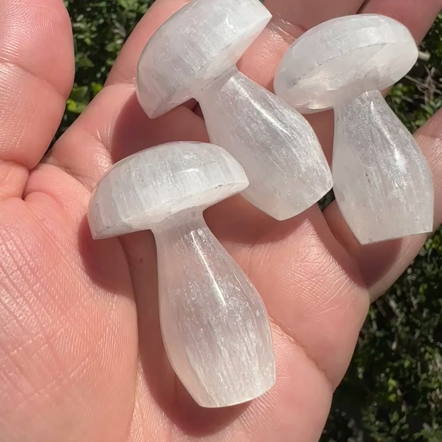 Selenite Mushroom
