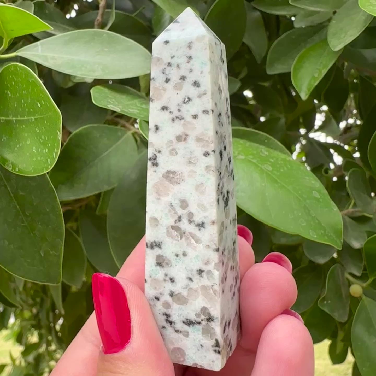 Kiwi Jasper Tower