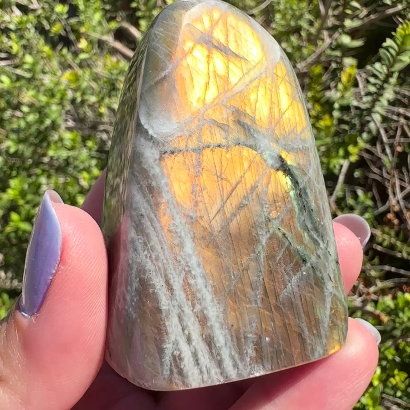Labradorite Freeform