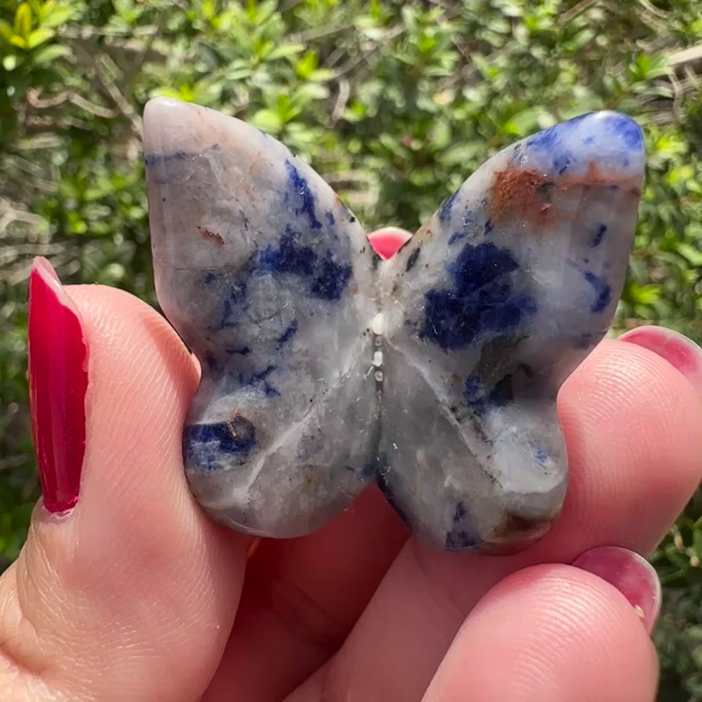 Sodalite 3D Butterfly