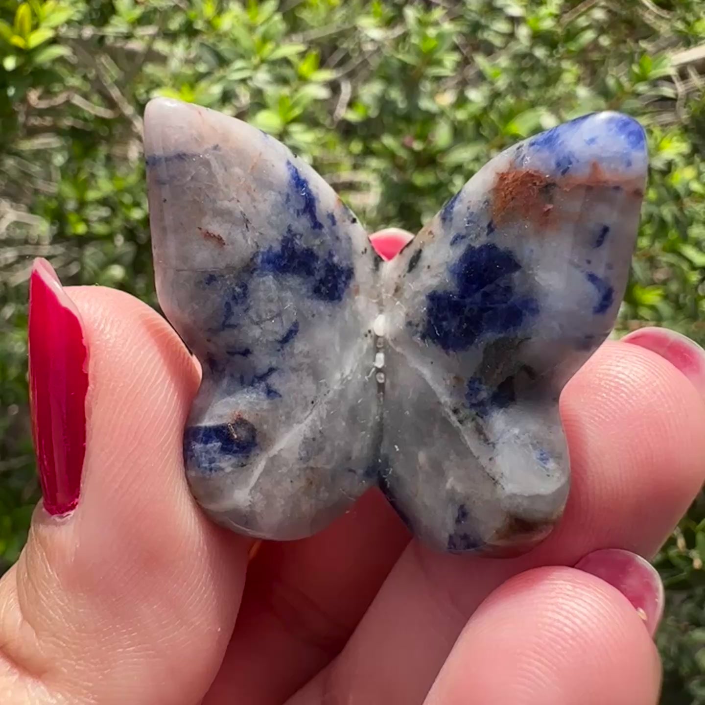 Sodalite 3D Butterfly