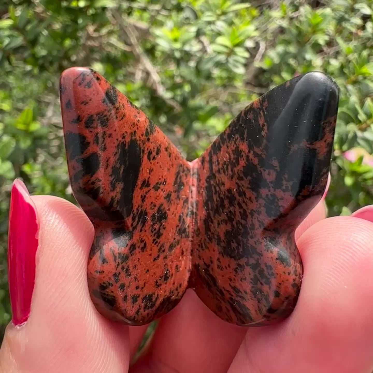 Mahogany Obsidian 3D Butterfly