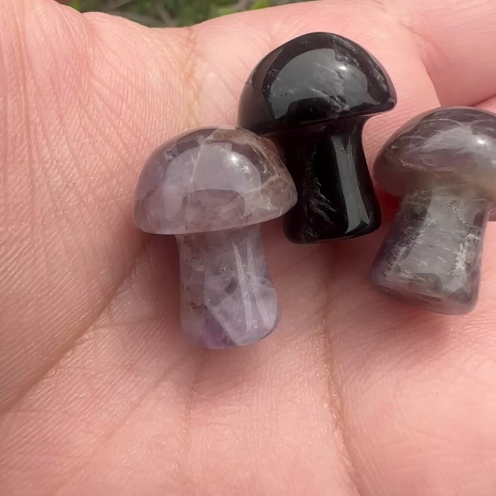 Dream Amethyst Mushroom