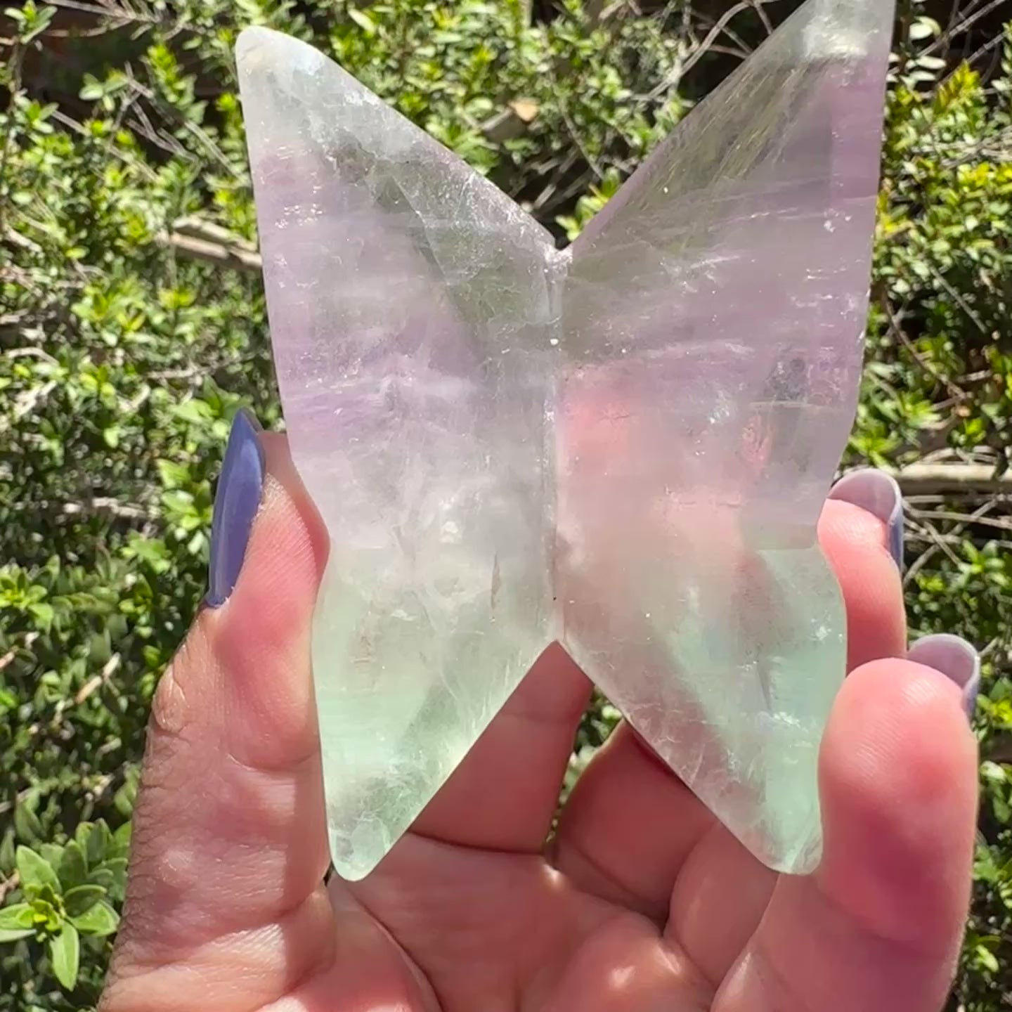 Fluorite Butterfly