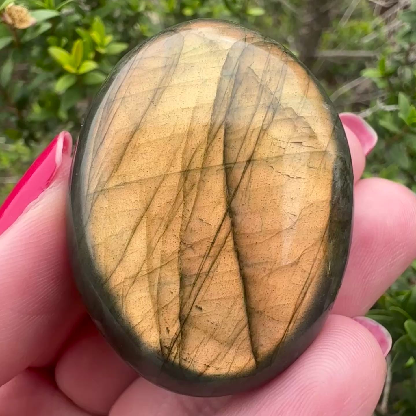 Labradorite Palm Stone