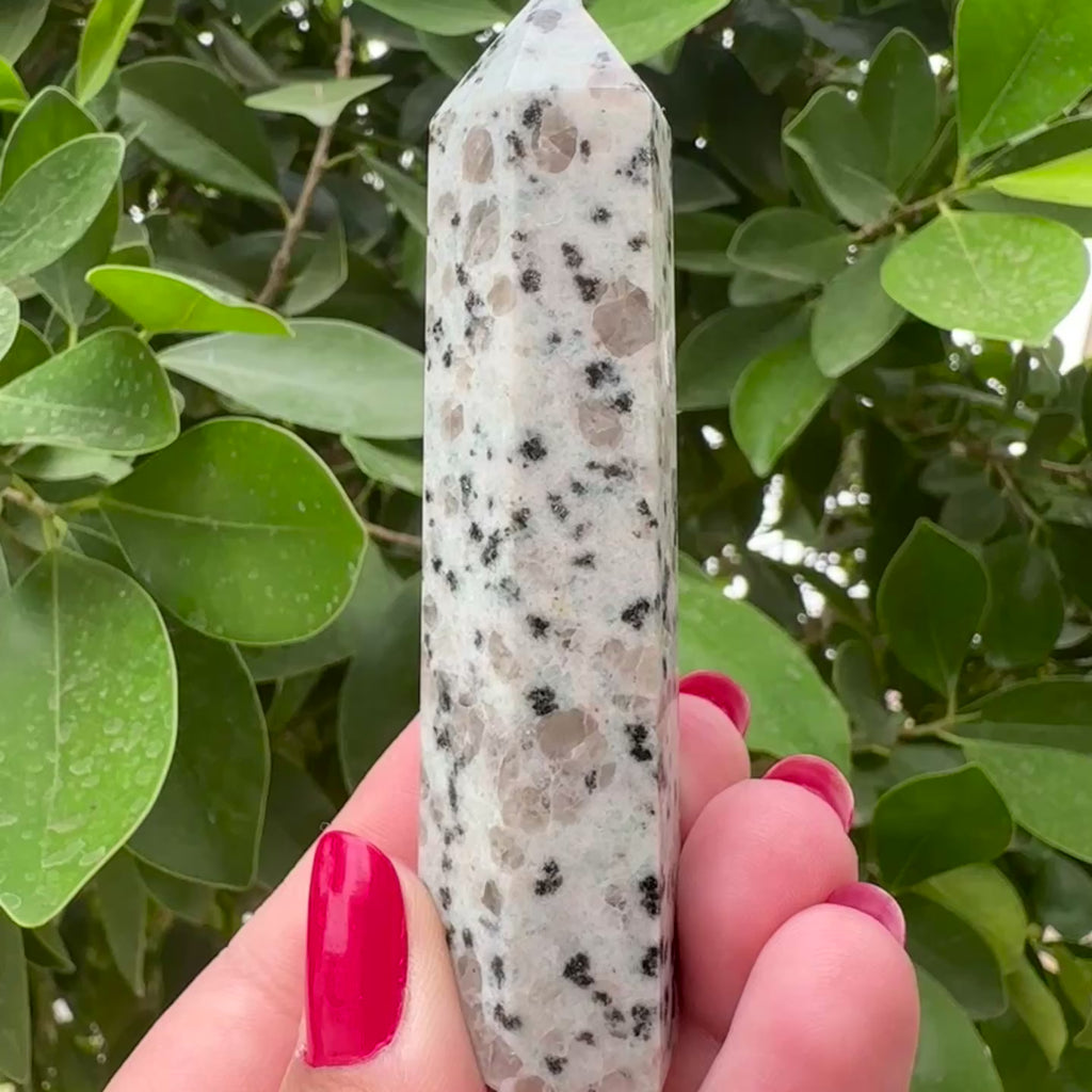 Kiwi Jasper Tower
