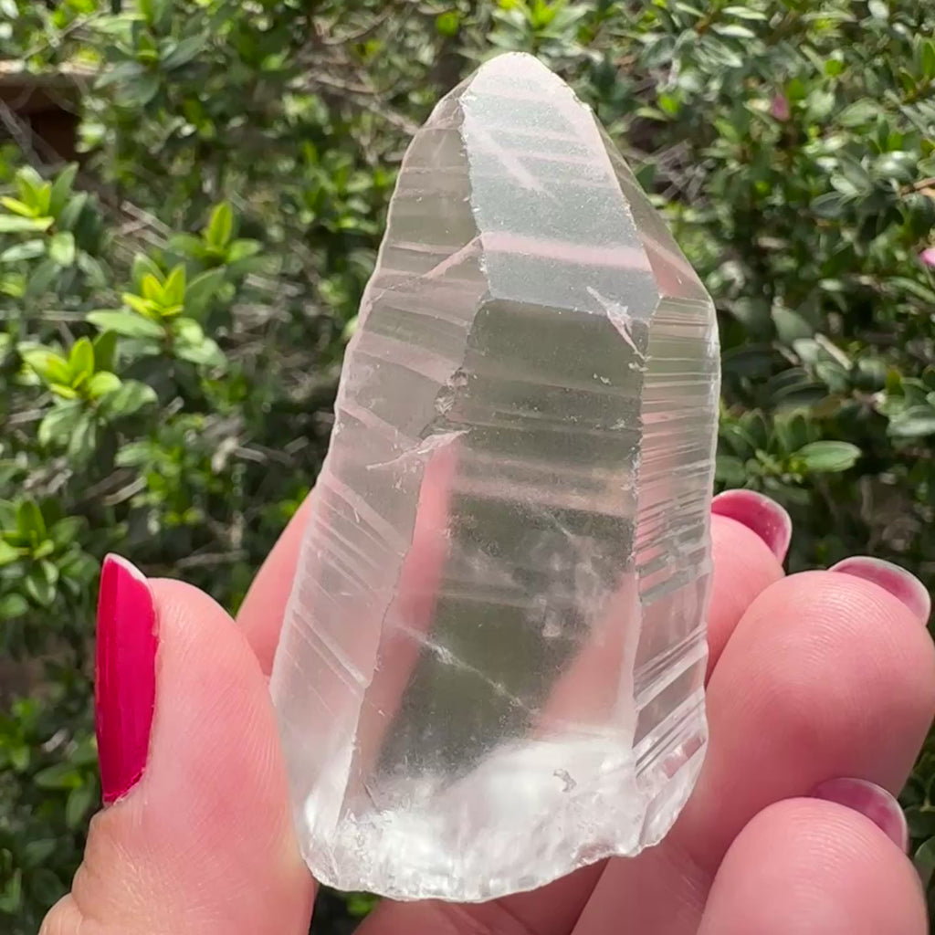 Colombian Lemurian Quartz Point
