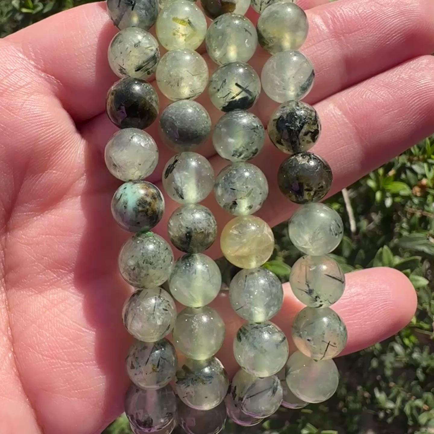 Prehnite Bracelet | 8mm