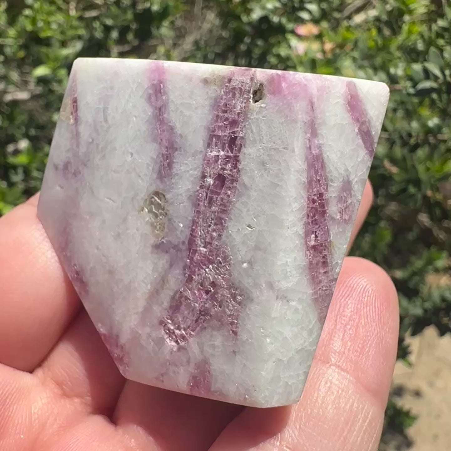 Pink Tourmaline Freeform