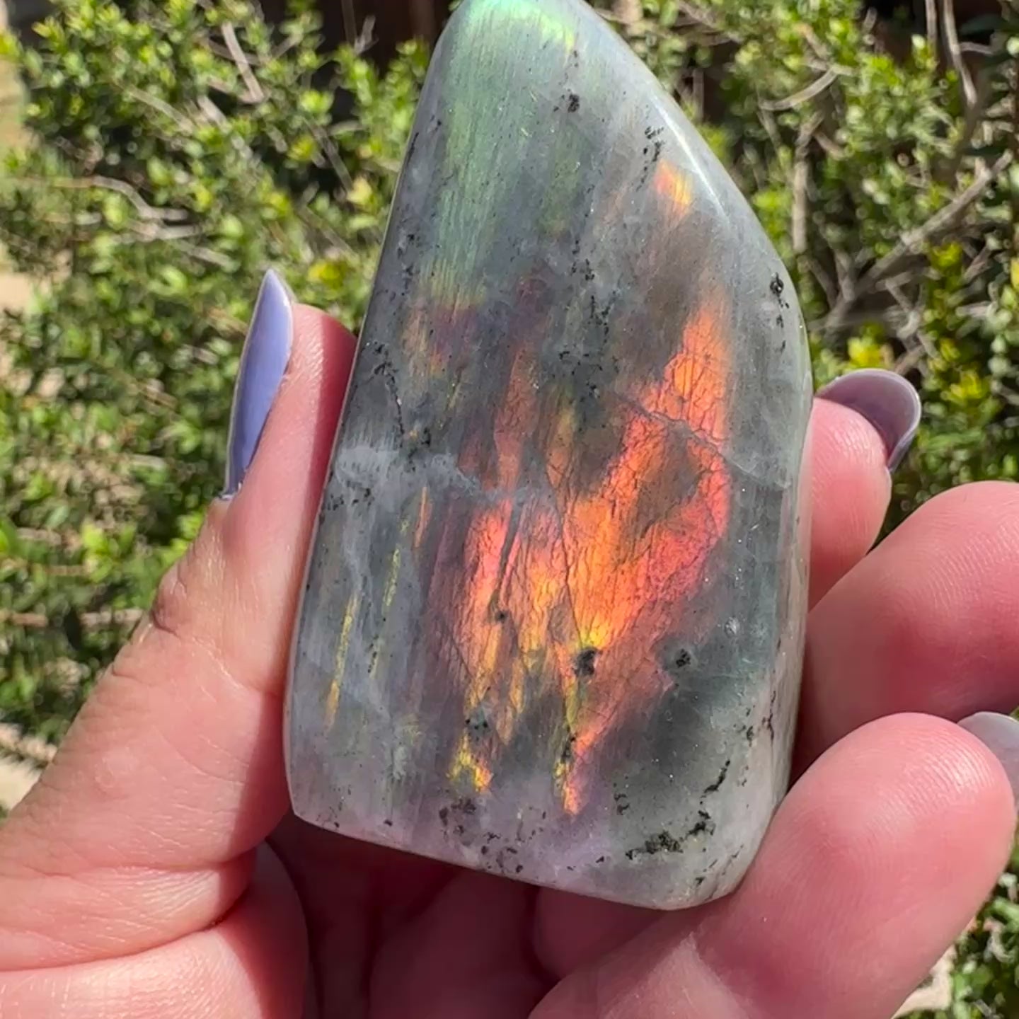 Labradorite Freeform