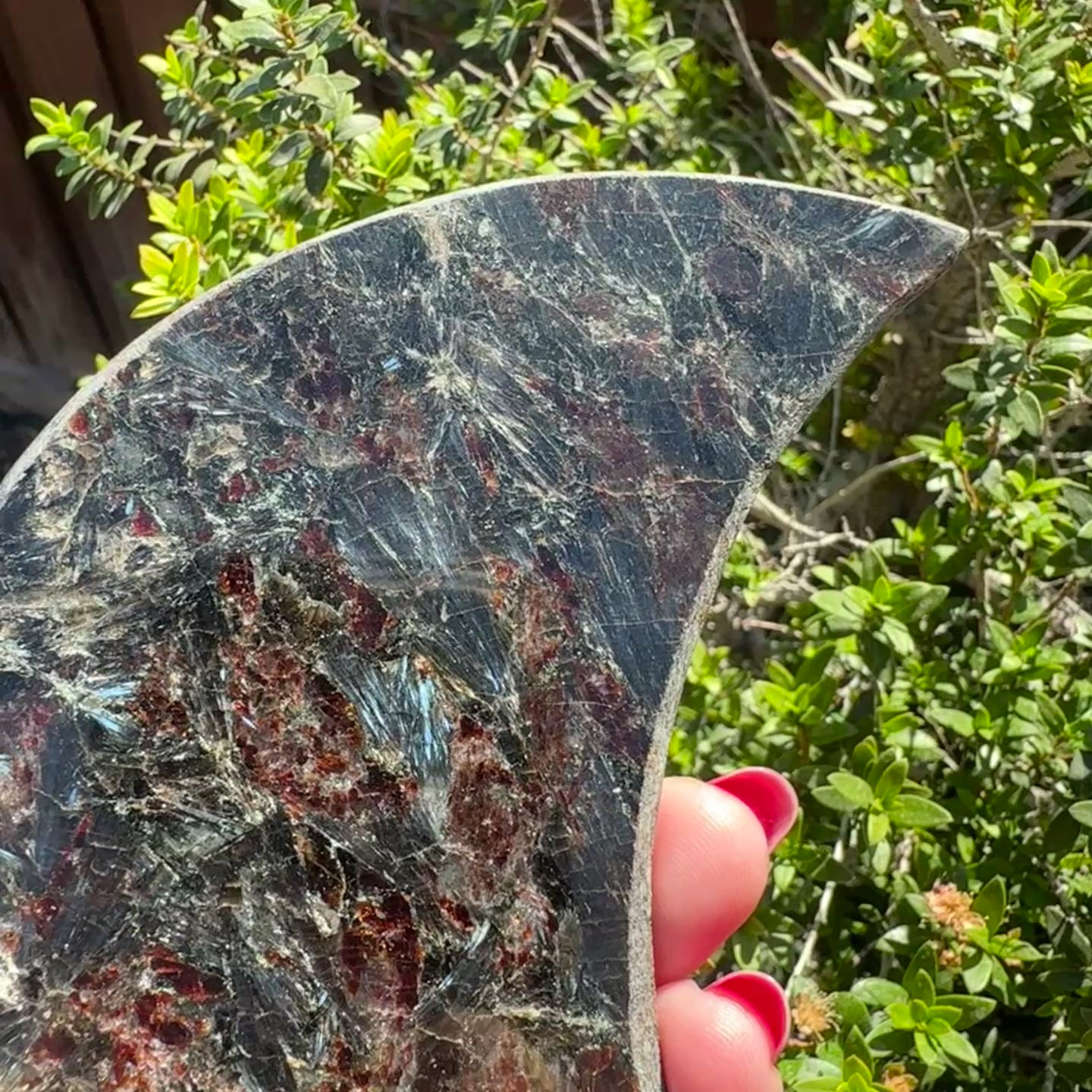 Astrophyllite Moon